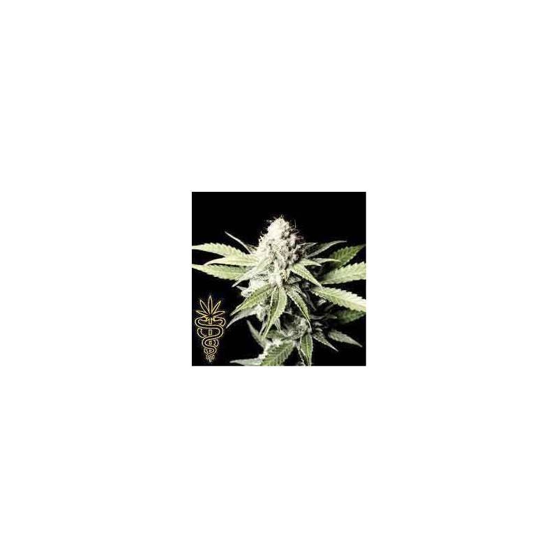 legend