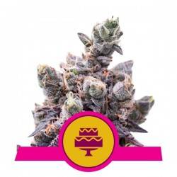 WEDDING GELATO  · Royal...