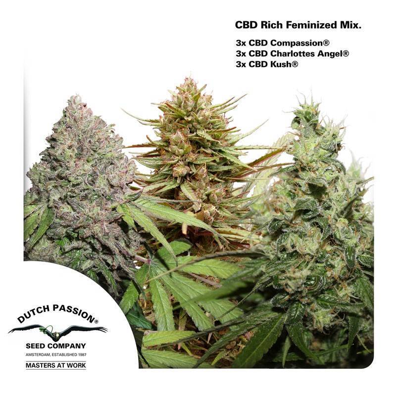 CBD RICH FEMINIZED MIX ·  Dutch Passion · cannabis seeds · Fem