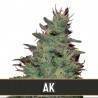 AK Auto · Blimburn Seeds · cannabis seeds · AutoFem
