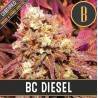 BC Diesel