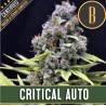 Critical Auto