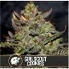 Girl Scout Cookies