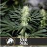 Sour Diesel
