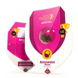 Amnesia Haze – Semi Femminizzati Royal Queen Seeds