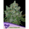 BRUCE BANNER 3 · Anesia Seeds · semillas de marihuana · Fem