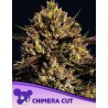 CHIMERA CUT · Anesia Seeds · semillas de marihuana · Fem