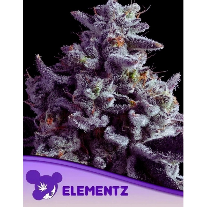 ELEMENTZ · Anesia Seeds · cannabis seeds · Fem