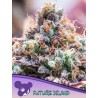 FUTURE ISLAND · Anesia Seeds · cannabis seeds · Fem