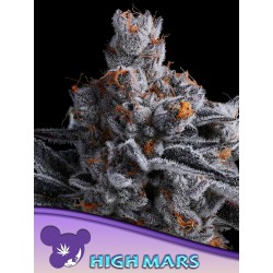 HIGH MARS · Anesia Seeds · cannabis seeds · Fem