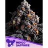 INDIGO SAPPHIRE · Anesia Seeds · semillas de marihuana · Fem