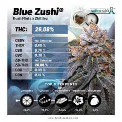 BLUE ZUSHI · Dutch Passion · semillas de marihuana · Fem