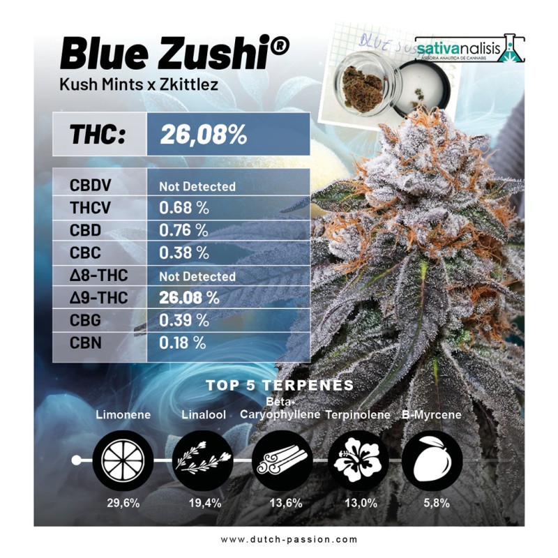 BLUE ZUSHI · Dutch Passion · semillas de marihuana · Fem