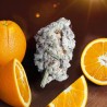 ORANGE BUD 2.0 · Dutch Passion · semi di canapa indiana · Fem