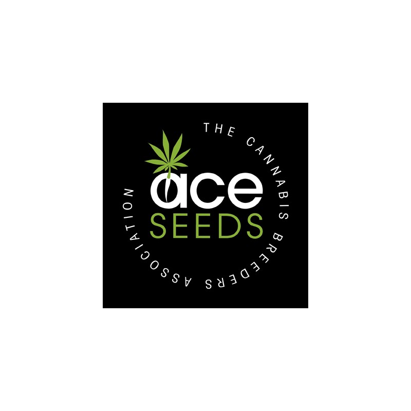 CBD 1 X MALAWI · Ace Seeds · semi di canapa · Fem