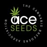 CBD 1 X MALAWI · Ace Seeds · semillas de marihuana · Fem