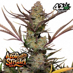 APPLE STRUDEL AUTO · FastBuds Seeds · cannabis seeds · AutoFem