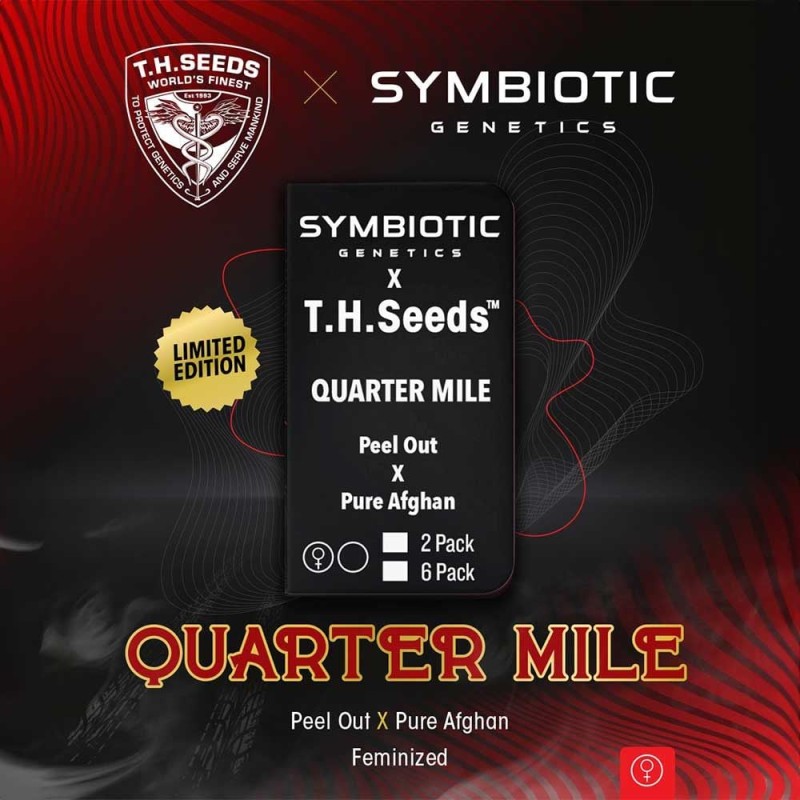 QUARTER MILE · TH Seeds · semillas de marihuana · Fem