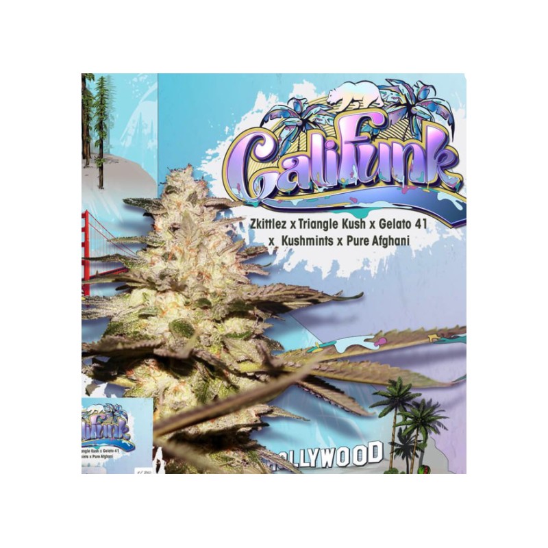 CALIFUNK · TH Seeds · semillas de marihuana · Fem