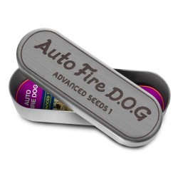 Auto Fire DOG · Advanced Seeds · semi di canapa · AutoFem