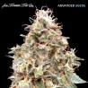Auto Forbidden Fruit · Advanced Seeds · semillas de marihuana · AutoFem
