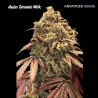 Auto Zerealz Milk · Advanced Seeds · cannabis seeds · AutoFem