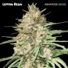 Lemon Bean · Advanced Seeds · semillas de marihuana · Fem