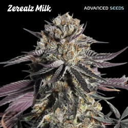Zerealz Milk · Advanced Seeds · cannabis seeds · Fem