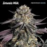 Zerealz Milk · Advanced Seeds · semi di canapa indiana · Amnesia