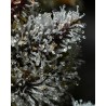 LEMON CHERRY GELATO · Barneys Farm · semillas de marihuana · Fem