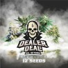 DEALER DEAL XXL AUTOMIX · BSF Seeds · cannabis seeds · AutoFem