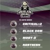DEALER DEAL XXL AUTOMIX · BSF Seeds · semillas de marihuana · AutoFem