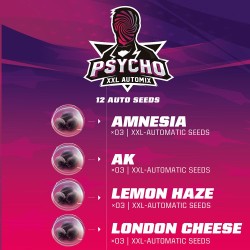 PSYCHO XXL AUTOMIX · BSF Seeds · semillas de marihuana · AutoFem