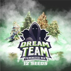 DREAM TEAM FEMINIZED MIX ·...