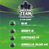 DREAM TEAM FEMINIZED MIX · BSF Seeds · semillas de marihuana · Fem