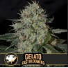 Gelato FB · Blimburn Seeds · semillas de marihuana · Fem