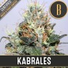 Kabrales · Blimburn Seeds · semillas de marihuana · Fem