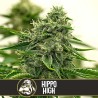 Hippo High · Blimburn Seeds · semillas de marihuana · Fem