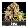 Orka · Blimburn Seeds · semillas de marihuana · Fem