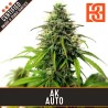 AK Auto · Blimburn Seeds · semillas de marihuana · AutoFem
