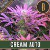 Cream Auto · Blimburn Seeds · semillas de marihuana · AutoFem