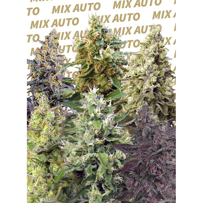 SWEET MIX AUTO · Sweet Seeds · semillas de marihuana · AutoFem