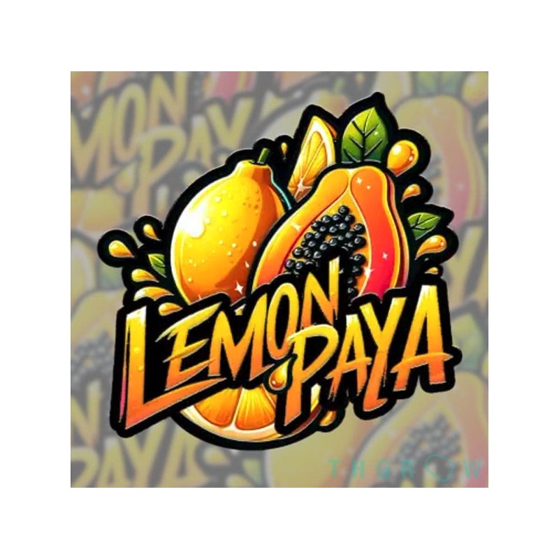 Lemonpaya · FastBuds Seeds · cannabis seeds · Fem