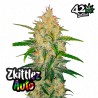 Zkittlez Auto – Semi Autofiorenti Fastbuds