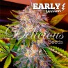 CARAMELO EARLY VERSION · Delicious · semillas de marihuana · Fem