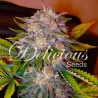 CARAMELO · Delicious · semillas de marihuana · Fem
