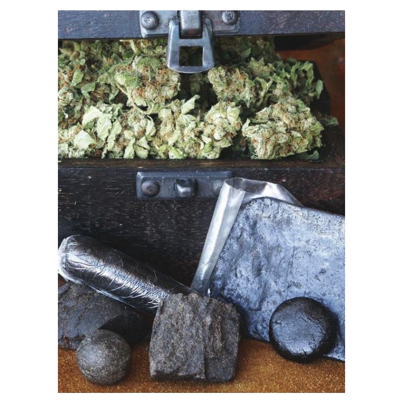 HASHBERRY · Mandala Seeds · semillas de marihuana - Reg