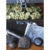 HASHBERRY · Mandala Seeds · semi di canapa - Reg