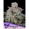 CHAOS CAKE AUTO · Anesia Seeds · semillas de marihuana · Auto Fem