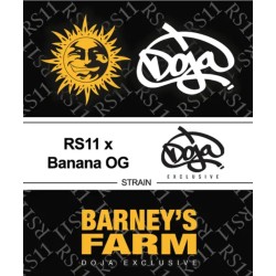 RS11 X BANANA OG · Barneys Farm · semillas de marihuana · Fem
